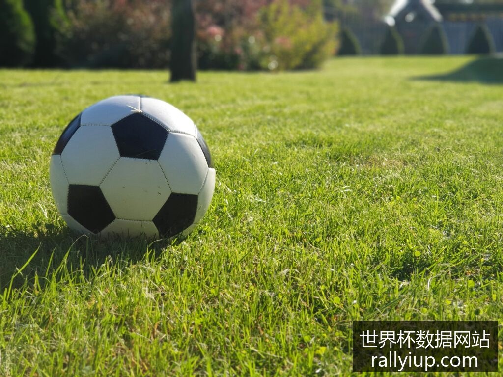 阿根廷与法,国对决,世界杯决赛,世界杯数据网站官网,世界杯实时比分,世界杯统计分析,世界杯赛事信息,世界杯数据查询