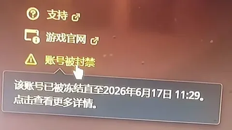 世界杯数据网站