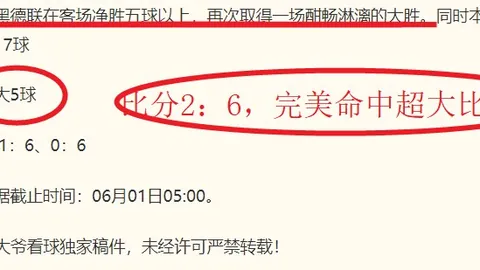 世界杯数据网站